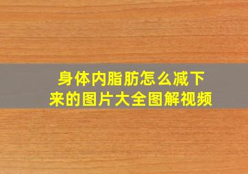 身体内脂肪怎么减下来的图片大全图解视频