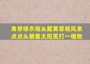 身穿绿衣袍头戴黄草帽风来点点头朝着太阳笑打一植物