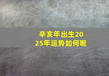 辛亥年出生2025年运势如何呢