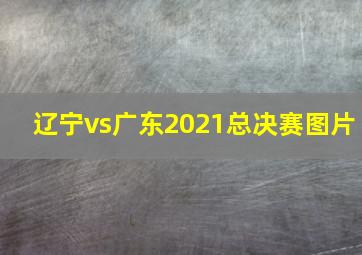 辽宁vs广东2021总决赛图片