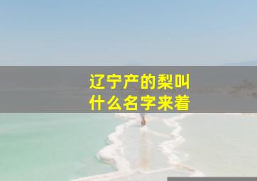 辽宁产的梨叫什么名字来着