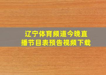 辽宁体育频道今晚直播节目表预告视频下载