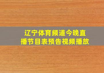 辽宁体育频道今晚直播节目表预告视频播放