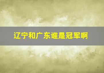 辽宁和广东谁是冠军啊