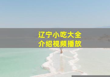 辽宁小吃大全介绍视频播放