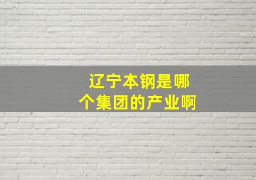 辽宁本钢是哪个集团的产业啊