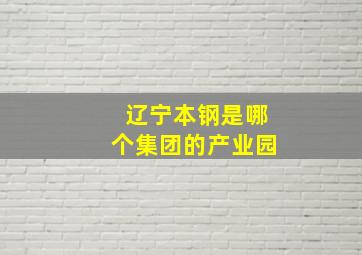 辽宁本钢是哪个集团的产业园