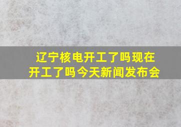 辽宁核电开工了吗现在开工了吗今天新闻发布会