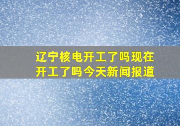 辽宁核电开工了吗现在开工了吗今天新闻报道