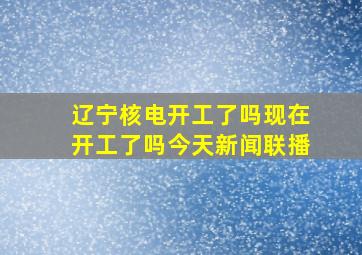 辽宁核电开工了吗现在开工了吗今天新闻联播