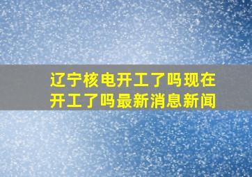 辽宁核电开工了吗现在开工了吗最新消息新闻