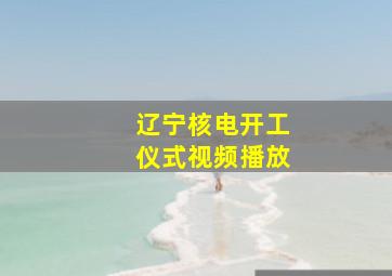 辽宁核电开工仪式视频播放