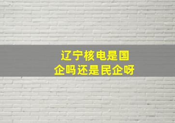 辽宁核电是国企吗还是民企呀