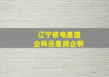 辽宁核电是国企吗还是民企啊