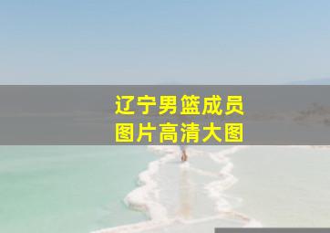 辽宁男篮成员图片高清大图