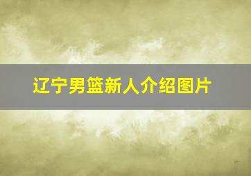 辽宁男篮新人介绍图片