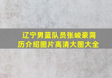 辽宁男蓝队员张峻豪简历介绍图片高清大图大全