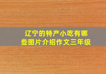 辽宁的特产小吃有哪些图片介绍作文三年级