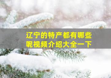 辽宁的特产都有哪些呢视频介绍大全一下