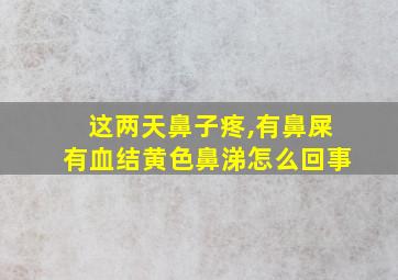 这两天鼻子疼,有鼻屎有血结黄色鼻涕怎么回事