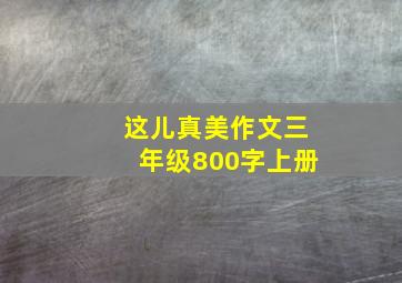 这儿真美作文三年级800字上册