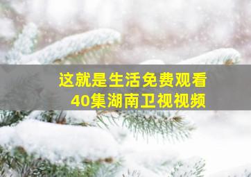 这就是生活免费观看40集湖南卫视视频