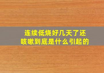 连续低烧好几天了还咳嗽到底是什么引起的