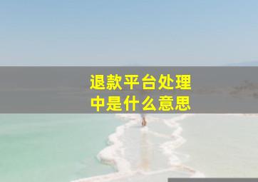 退款平台处理中是什么意思