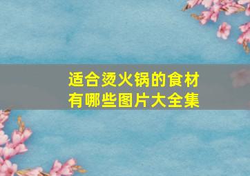 适合烫火锅的食材有哪些图片大全集