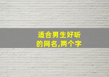 适合男生好听的网名,两个字