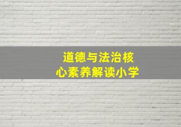 道德与法治核心素养解读小学