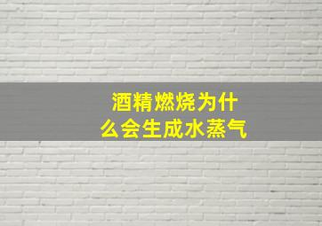 酒精燃烧为什么会生成水蒸气