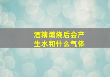 酒精燃烧后会产生水和什么气体