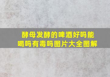 酵母发酵的啤酒好吗能喝吗有毒吗图片大全图解