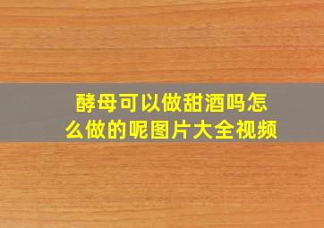 酵母可以做甜酒吗怎么做的呢图片大全视频