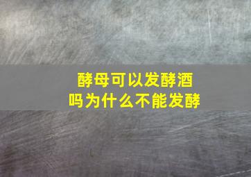 酵母可以发酵酒吗为什么不能发酵