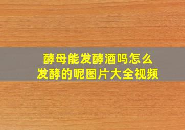 酵母能发酵酒吗怎么发酵的呢图片大全视频