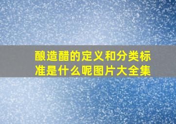 酿造醋的定义和分类标准是什么呢图片大全集