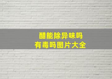 醋能除异味吗有毒吗图片大全