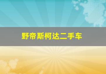 野帝斯柯达二手车