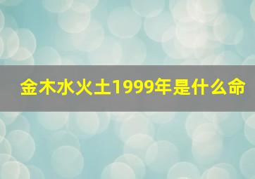 金木水火土1999年是什么命