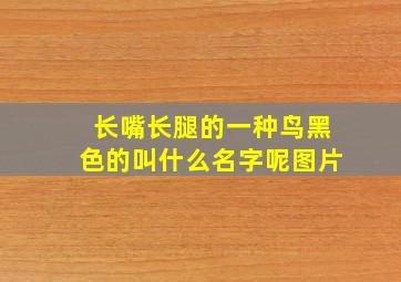 长嘴长腿的一种鸟黑色的叫什么名字呢图片