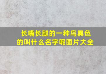 长嘴长腿的一种鸟黑色的叫什么名字呢图片大全