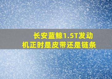 长安蓝鲸1.5T发动机正时是皮带还是链条