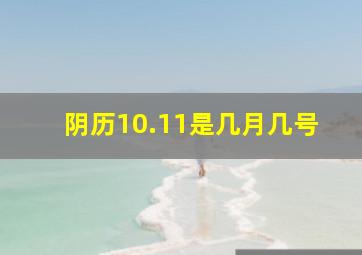 阴历10.11是几月几号