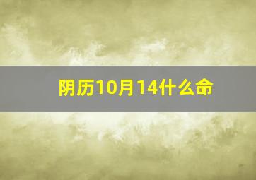 阴历10月14什么命