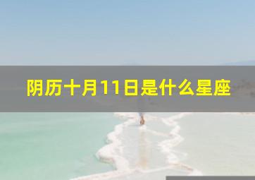 阴历十月11日是什么星座