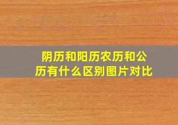 阴历和阳历农历和公历有什么区别图片对比