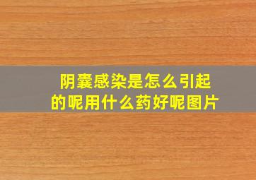 阴囊感染是怎么引起的呢用什么药好呢图片