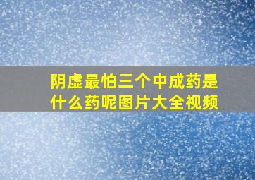 阴虚最怕三个中成药是什么药呢图片大全视频